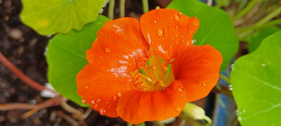 Tietoisuus ei katoa kuolemassa - kokemuksia edesmenneitten kohtaamisista by Työkaluna tietoisuus - Laila Mäkinen